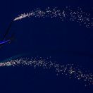 15/02/2014. Pirotecnia i acrobacia en planador, a carrec de Guy Westgate